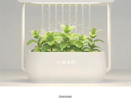 이소정, 최은지